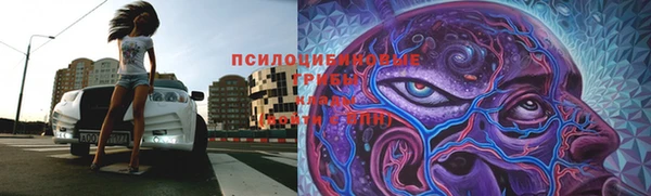 крисы Нязепетровск
