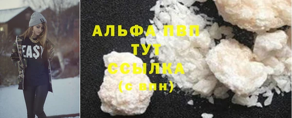 шишки Нея
