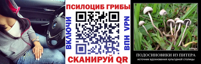 Галлюциногенные грибы мицелий  купить наркоту  Микунь 